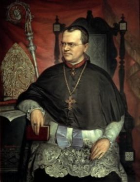 Gregor Mendel in un ritratto dell'epoca.De Agostini Picture Library/G. Nimatallah Gregor Mendel in un ritratto dell'epoca.De Agostini Picture Library/G. Nimatallah