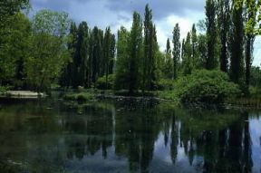 Umbria. Le fonti del Clitunno nel Perugino, una delle aree più densamente abitate della regione.De Agostini Picture Library/M. Leigheb Umbria. Le fonti del Clitunno nel Perugino, una delle aree più densamente abitate della regione.De Agostini Picture Library/M. Leigheb