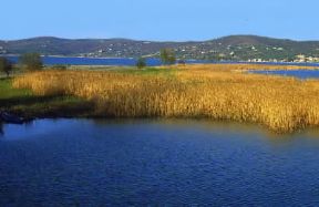Umbria. Il lago di Trasimeno (Perugia).De Agostini Picture Library/G. Cappelli Umbria. Il lago di Trasimeno (Perugia).De Agostini Picture Library/G. Cappelli