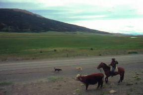 Cile. Gaucho di un allevamento bovino nella Patagonia cilena.De Agostini Picture Library/G. Sioën Cile. Gaucho di un allevamento bovino nella Patagonia cilena.De Agostini Picture Library/G. Sioën