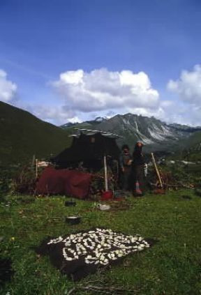 Bhutan . Gruppo di nomadi.De Agostini Picture Library/G. De Vecchi Bhutan . Gruppo di nomadi.De Agostini Picture Library/G. De Vecchi