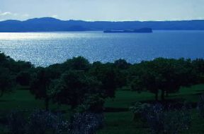 Lago di Bolsena . Veduta panoramica.De Agostini Picture Library/S. Vannini Lago di Bolsena . Veduta panoramica.De Agostini Picture Library/S. Vannini