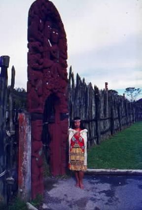 Maori. Una giovane donna con il costume tradizionale.De Agostini Picture Library/M. Leigheb Maori. Una giovane donna con il costume tradizionale.De Agostini Picture Library/M. Leigheb