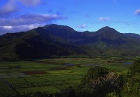 Hawaii. Veduta di campi irrigati nell'isola di Kauai.De Agostini Picture Library / G. Sioën Hawaii. Veduta di campi irrigati nell'isola di Kauai.De Agostini Picture Library / G. Sioën