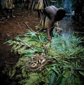 Oceania . Cottura del cibo presso una tribù dei Dani, in Nuova Guinea.De Agostini Picture Library Oceania . Cottura del cibo presso una tribù dei Dani, in Nuova Guinea.De Agostini Picture Library