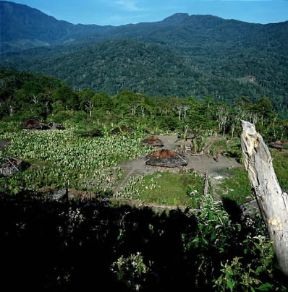 Papua . Un villaggio del gruppo Deni.De Agostini Picture Library Papua . Un villaggio del gruppo Deni.De Agostini Picture Library