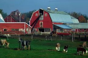 Vermont. Una fattoria con allevamento di bovini.De Agostini Picture Library/G. Sioën Vermont. Una fattoria con allevamento di bovini.De Agostini Picture Library/G. Sioën