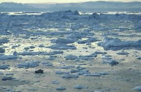 Groenlandia. La baia di Disko di fronte a Ilulissat.De Agostini Picture Library / D. Staquet Groenlandia. La baia di Disko di fronte a Ilulissat.De Agostini Picture Library / D. Staquet