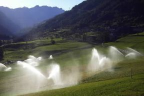 Irrigazione . Esempio di irrigazione a pioggia.De Agostini Picture Library/S. Vannini Irrigazione . Esempio di irrigazione a pioggia.De Agostini Picture Library/S. Vannini