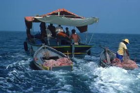 Pesca . Peschereccio tunisino si appresta a rientrare in porto con il carico di cernie.De Agostini Picture Library/E. Quemere Pesca . Peschereccio tunisino si appresta a rientrare in porto con il carico di cernie.De Agostini Picture Library/E. Quemere