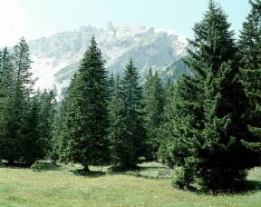 Pusteria. La regione valliva si trova per due terzi in territorio italiano e per un terzo in territorio austriaco.De Agostini Picture Library/G. Barone