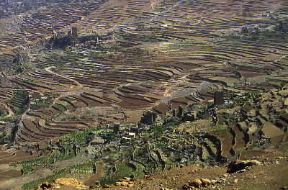 Yemen. Coltivazioni di cereali.De Agostini Picture Library/L. Romano