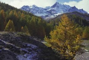 Alpes-Maritimes. La valle della Clarée.De Agostini Picture Library/C. Sappa Alpes-Maritimes. La valle della Clarée.De Agostini Picture Library/C. Sappa