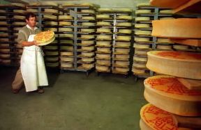 Formaggio. La produzione in Italia settentrionale è quasi tutta di latte di vacca.De Agostini Picture Library/G. P. Cavallero Formaggio. La produzione in Italia settentrionale è quasi tutta di latte di vacca.De Agostini Picture Library/G. P. Cavallero