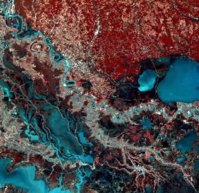 Fotografia. Il Mississippi ripreso dal satellite.Nasa Fotografia. Il Mississippi ripreso dal satellite.Nasa