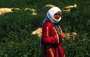 Giordania. Pastore nomade.De Agostini Picture Library / C. Sappa