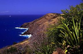 Saint-Martin. Un tratto della costa. De Agostini Picture Library / C. Rives