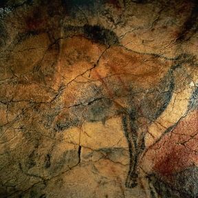 Grotta di Altamira. Particolare delle pitture rupestri.Madrid, Ministero della Cultura Grotta di Altamira. Particolare delle pitture rupestri.Madrid, Ministero della Cultura