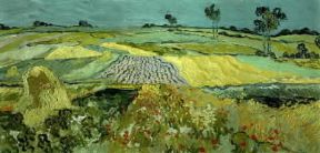 Paesaggio . La piana di Auvers di V. Van Gogh (Vienna Kunsthisorisches Museum).De Agostini Picture Library/G. Nimatallah Paesaggio . La piana di Auvers di V. Van Gogh (Vienna Kunsthisorisches Museum).De Agostini Picture Library/G. Nimatallah