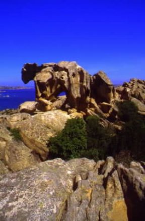Erosione. Effetti dell'erosione marina sulle rocce di Capo d'Orso (Sassari).De Agostini Picture Library/S. Vannini Erosione. Effetti dell'erosione marina sulle rocce di Capo d'Orso (Sassari).De Agostini Picture Library/S. Vannini