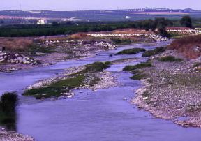 Ofanto .Un tratto del fiume nel territorio della provincia di Bari.De Agostini Picture Library/A. Tessore Ofanto .Un tratto del fiume nel territorio della provincia di Bari.De Agostini Picture Library/A. Tessore