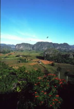 Cuba. Veduta della zona di Pinar del RÃo e sullo sfondo i mogotes.De Agostini Picture Library / V. Degrandi Cuba. Veduta della zona di Pinar del RÃo e sullo sfondo i mogotes.De Agostini Picture Library / V. Degrandi