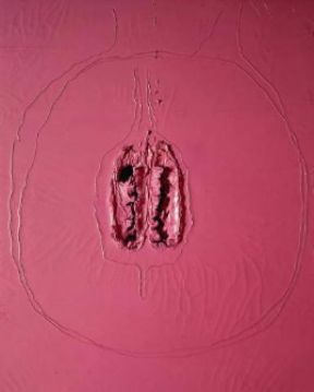 Arte informale . Concetto spaziale rosa di L. Fontana (1968; Milano, Collezione Privata).Fondazione L. Fontana Arte informale . Concetto spaziale rosa di L. Fontana (1968; Milano, Collezione Privata).Fondazione L. Fontana