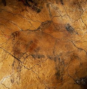 Grotta di Altamira. Particolare della decorazione rupestre con la raffigurazione di un cervo.Madrid, Ministero della Cultura Grotta di Altamira. Particolare della decorazione rupestre con la raffigurazione di un cervo.Madrid, Ministero della Cultura
