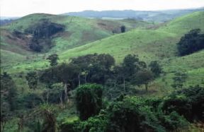 Repubblica popolare del Congo. Paesaggio nei pressi di Loubomo.De Agostini Picture Library/M. Bertinetti Repubblica popolare del Congo. Paesaggio nei pressi di Loubomo.De Agostini Picture Library/M. Bertinetti