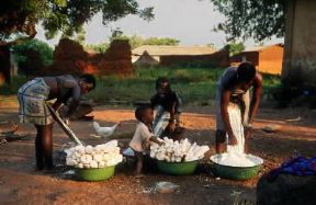 Benin . Preparazione della manioca.De Agostini Picture Library/C. Sappa Benin . Preparazione della manioca.De Agostini Picture Library/C. Sappa