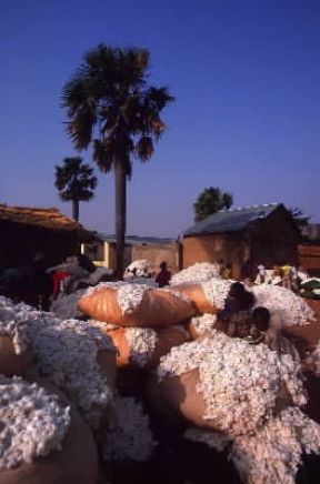 Togo. Balle di cotone pronte per essere inviate alle industrie tessili.De Agostini Picture Library/C. Sappa Togo. Balle di cotone pronte per essere inviate alle industrie tessili.De Agostini Picture Library/C. Sappa