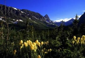 Stati Uniti . Il Glacier National Park, paesaggio tipico delle Montagne Rocciose nello Stato del Montana.De Agostini Picture Library/G. Sioën Stati Uniti . Il Glacier National Park, paesaggio tipico delle Montagne Rocciose nello Stato del Montana.De Agostini Picture Library/G. Sioën