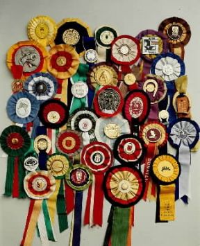 Coccarda. Collezione equestre.De Agostini Picture Library/R. Ghislandi