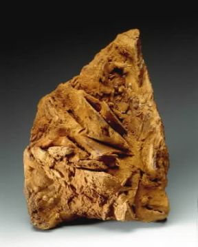 Limonite. De Agostini Picture Library/Photi 1