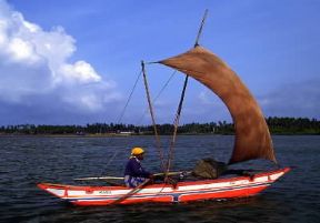 Sri Lanka . Pescatore nella laguna di Negombo.De Agostini Picture Library/C. Rives Sri Lanka . Pescatore nella laguna di Negombo.De Agostini Picture Library/C. Rives