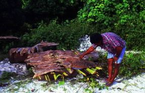 Maldive. Pesce lasciato essiccare al sole. La pesca rimane una delle attività di primaria importanza per l'economia del Paese.De Agostini Picture Library/C. Rives Maldive. Pesce lasciato essiccare al sole. La pesca rimane una delle attività di primaria importanza per l'economia del Paese.De Agostini Picture Library/C. Rives