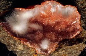 Mordenite. Cristalli del minerale.De Agostini Picture Library / R. Appiani