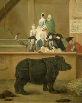 Pietro Falca, detto Longhi. Mostra del rinoceronte (Venezia, Museo di Ca' Rezzonico).De Agostini Picture Library/A. Dagli Orti Pietro Falca, detto Longhi. Mostra del rinoceronte (Venezia, Museo di Ca' Rezzonico).De Agostini Picture Library/A. Dagli Orti