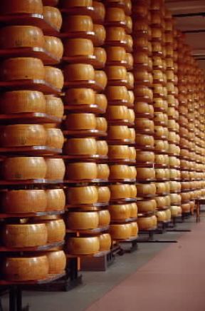 Formaggio pronto per essere messo in commercio.De Agostini Picture Library/G. Roli Formaggio pronto per essere messo in commercio.De Agostini Picture Library/G. Roli