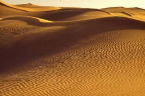 India . Veduta della regione desertica del Thar limitata a SE dai monti Aravalli e a NW dai bacini dei fiumi Indo e Sutlej.De Agostini Picture Library/Dani-Jeske India . Veduta della regione desertica del Thar limitata a SE dai monti Aravalli e a NW dai bacini dei fiumi Indo e Sutlej.De Agostini Picture Library/Dani-Jeske