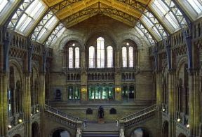 Londra. L'interno del Natural History Museum.De Agostini Picture Library/W. Buss Londra. L'interno del Natural History Museum.De Agostini Picture Library/W. Buss