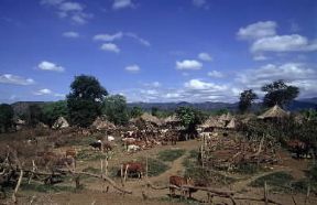 Rift Valley. Scorcio di un villaggio del gruppo etnico Gidole lungo la depressione del Rift Valley.De Agostini Picture Library/C. Sappa Rift Valley. Scorcio di un villaggio del gruppo etnico Gidole lungo la depressione del Rift Valley.De Agostini Picture Library/C. Sappa