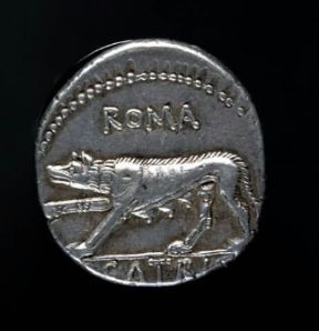 Moneta. Esemplare di denario romano: con la lupa capitolina.De Agostini Picture Library / G. Dagli Orti Moneta. Esemplare di denario romano: con la lupa capitolina.De Agostini Picture Library / G. Dagli Orti