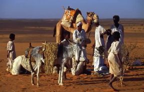 Sudan. Una parte della popolazione sudanese è costituita da allevatori che compiono migrazioni stagionali.De Agostini Picture Library/C. Sappa Sudan. Una parte della popolazione sudanese è costituita da allevatori che compiono migrazioni stagionali.De Agostini Picture Library/C. Sappa