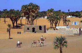 Sudan. Un villaggio presso Dongola, nella regione di Nubia.De Agostini Picture Library/C. Sappa Sudan. Un villaggio presso Dongola, nella regione di Nubia.De Agostini Picture Library/C. Sappa
