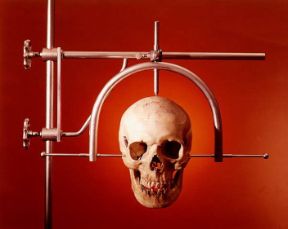 Misurazione del cranio. Antropometria. L'antropometria è l'insieme delle tecniche sistematicamente adottate per misurare e compiere osservazioni oggettive sulla forma fisica dell'uomo. È uno strumento determinante per l'antropologia biologica. Nella fotografia, la misurazione dell'altezza di un cranio. Misurazione del cranio. Antropometria. L'antropometria è l'insieme delle tecniche sistematicamente adottate per misurare e compiere osservazioni oggettive sulla forma fisica dell'uomo. È uno strumento determinante per l'antropologia biologica. Nella fotografia, la misurazione dell'altezza di un cranio.
