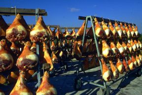 La conservazione degli alimenti: prosciutti. Conservazione degli alimenti. Se alcuni alimenti, come i cereali, possono mantenersi inalterati naturalmente per diversi anni, gli alimenti carni e i formaggi, ricchi di proteine e grassi, sono facile preda dei microrganismi e necessitano di essere trattati con opportune tecniche di conservazione, non sempre del tutto innocue per l'organismo. La conservazione degli alimenti: prosciutti. Conservazione degli alimenti. Se alcuni alimenti, come i cereali, possono mantenersi inalterati naturalmente per diversi anni, gli alimenti carni e i formaggi, ricchi di proteine e grassi, sono facile preda dei microrganismi e necessitano di essere trattati con opportune tecniche di conservazione, non sempre del tutto innocue per l'organismo.