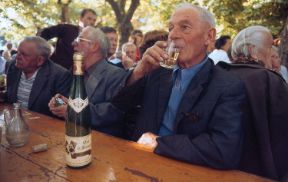 L'alcol. Alcol. Se bere saltuariamente moderate quantità di alcolici non è nocivo; l'ingestione eccessiva e costante di alcol può danneggiare seriamente la salute.