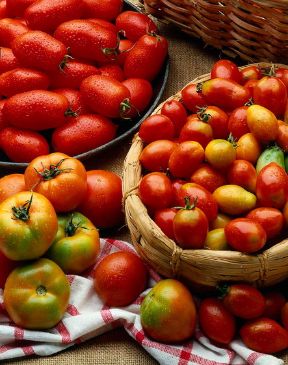 Verdura: i pomodori. Verdura. Elementi essenziali della cucina mediterranea, i pomodori sono costituiti in media per il 95% di acqua; contengono zuccheri e sono ricchi di vitamine (A e C, B1, B2, H, E, P). Verdura: i pomodori. Verdura. Elementi essenziali della cucina mediterranea, i pomodori sono costituiti in media per il 95% di acqua; contengono zuccheri e sono ricchi di vitamine (A e C, B1, B2, H, E, P).