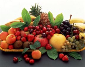 L'alimentazione sana. Alimentazione. Un'alimentazione corretta deve sempre prevedere, a qualsiasi età, il consumo di verdura e frutta fresche in grado di apportare all'organismo vitamine, sali minerali, zuccheri e acidi organici. L'alimentazione sana. Alimentazione. Un'alimentazione corretta deve sempre prevedere, a qualsiasi età, il consumo di verdura e frutta fresche in grado di apportare all'organismo vitamine, sali minerali, zuccheri e acidi organici.